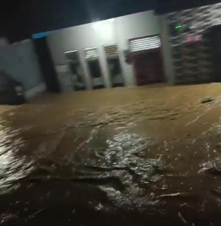 WhatsApp Image 2024-01-05 at 10.18.05