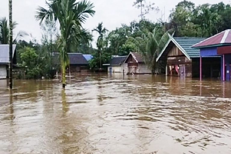 Wilayah Kotawaringin Timur dilanda Banjir -Detik Borneo