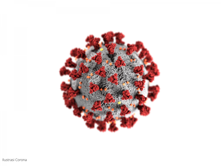 Awas Virus Corona Varian Delta masuk Kaltara, Agust: Jangan Panik, tetap Ikuti Prokes - detik borneo