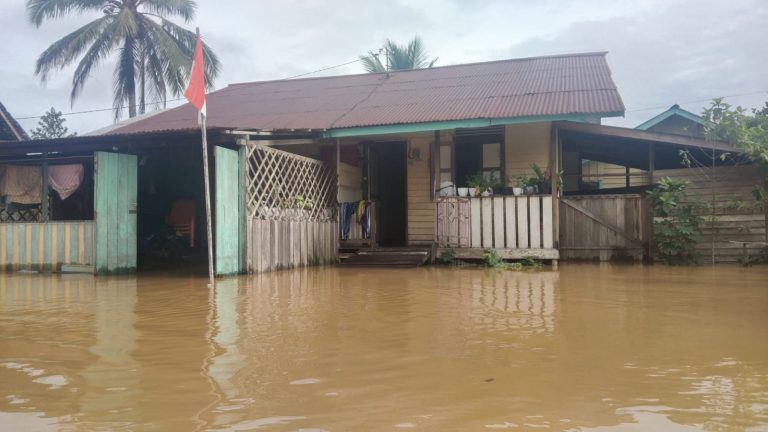 WhatsApp Image 2021-08-23 at 08.31.22