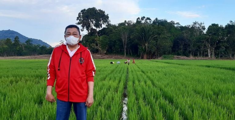 Cornelis Ketahanan Pangan