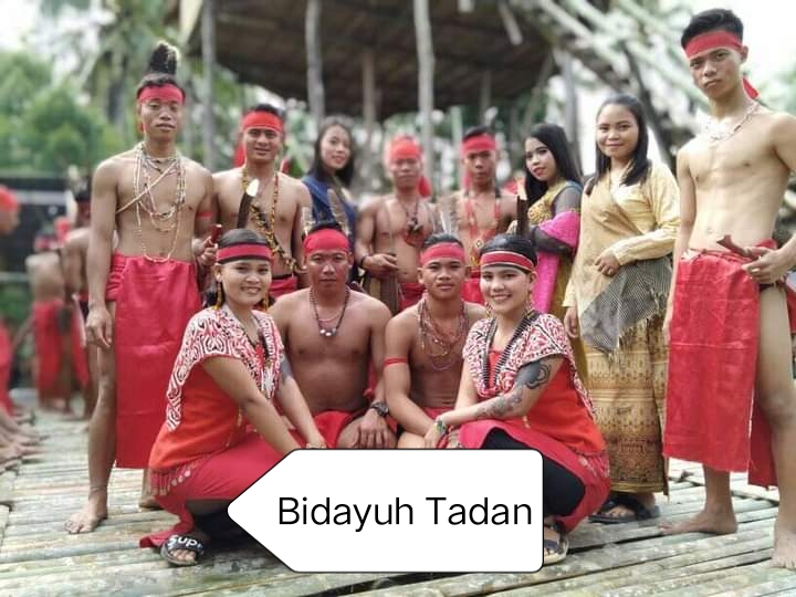 Mengenal Dayak Bidayuh Tamong Di Bengkayang, Populasi sedikit Bahasanya ...