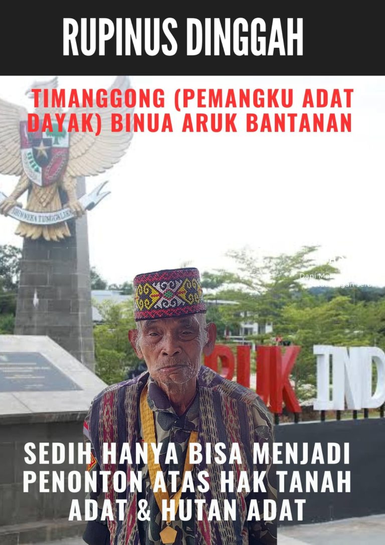 Rupinus Dinggah Timannggongdetikborneo