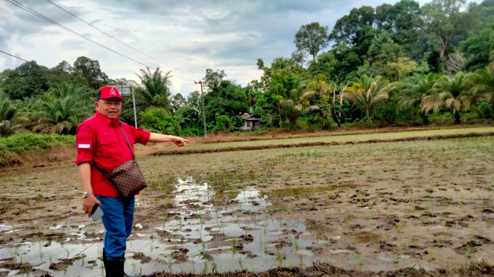 Cornelis & Petani Uji Tanam Padi Varietas MSP-65 di Kabupaten Landak