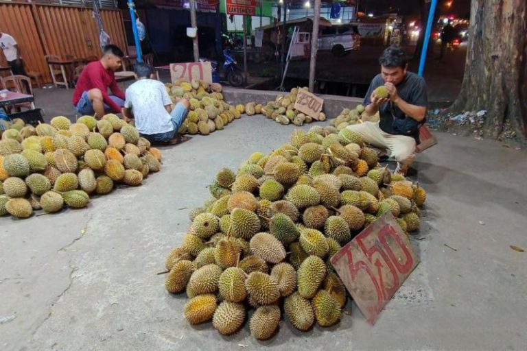 Musim Buah Durian di Kalbar Sudah Memasuki Puncak