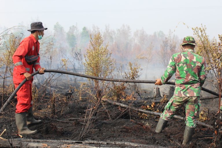 Kebakaran Masih Terjadi, Kalteng Perpanjang Masa Tanggap Darurat Karhutla