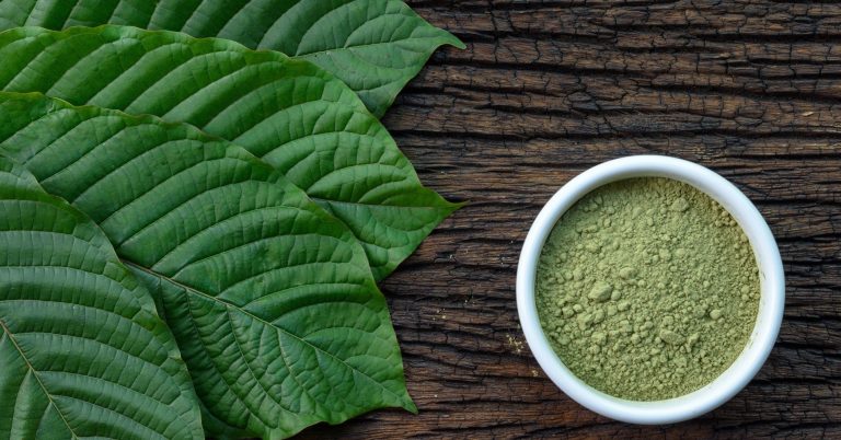 RI Sudah Dapat Miliaran dari Ekspor Kratom, Ternyata Tanaman Endemik Dari Kalimantan Mendunia