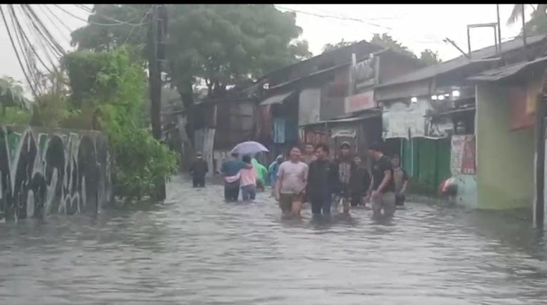 WhatsApp Image 2024-03-22 at 19.14.33