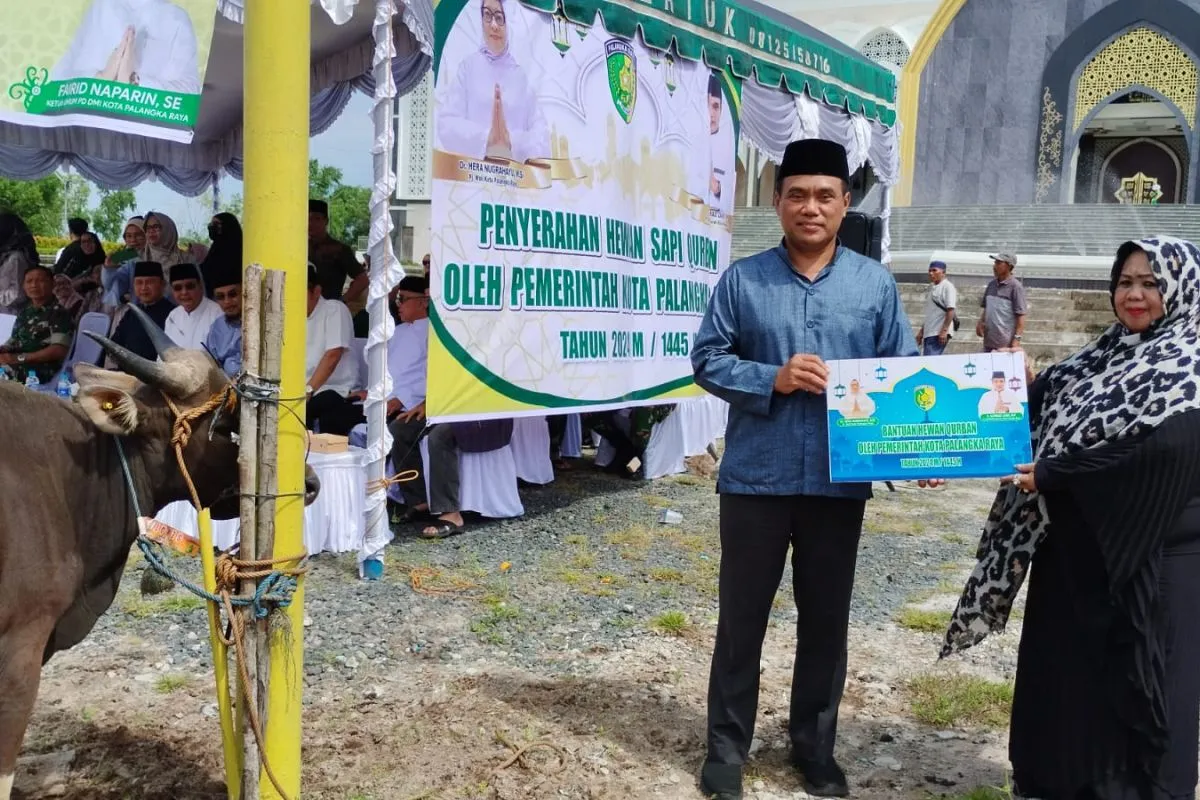 Pemkot Palangka Raya bagikan 16 Sapi Kurban pada Warga