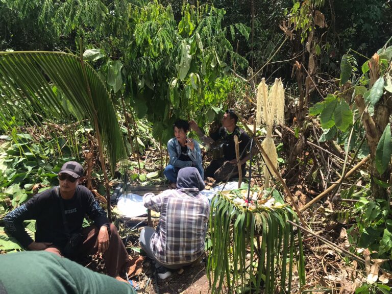 WhatsApp Image 2024-11-19 at 12.04.12_369f8435