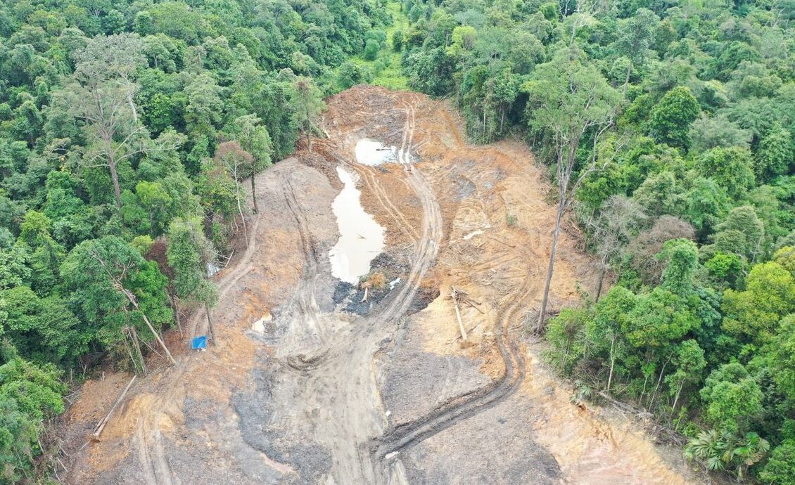 Berikut Penjelasan ESDM Kaltim soal Tambang Ilegal di Hutan Pendidikan Unmul, 3,26 Hektar Lahan Rusak