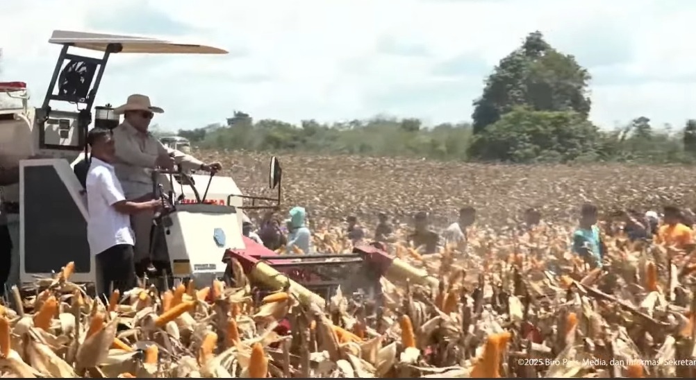 Presiden Prabowo Targetkan 2026 Tak Akan Impor Jagung, Bahkan Ekspor - Detik Borneo