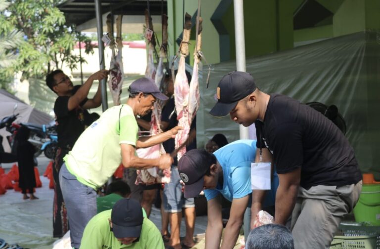 WhatsApp Image 2025-06-07 at 12.06.28