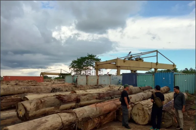 Kemenhut Tetapkan Lima Tersangka Kasus Peredaran Kayu Ilegal di Kalbar