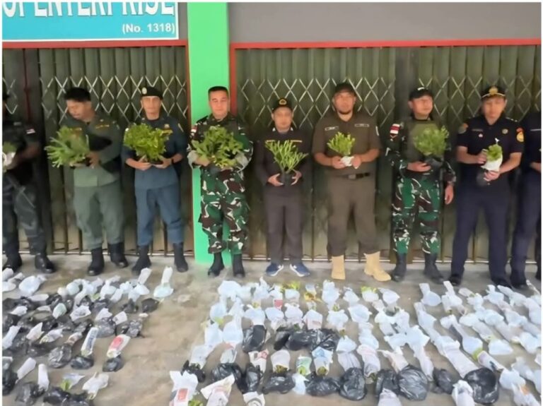 Tim Gabungan RI-Malaysia Gagalkan Penyelundupan 257 Tanduk Rusa di Kawasan Jagoi Babang Bengkayang