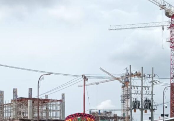 Screenshot_20260219_113854_WhatsApp